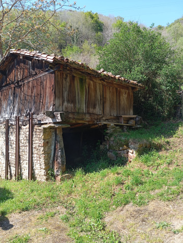 Casas o chalets-Venta-Mieres-1713521-Foto-12-Carrousel