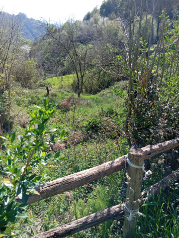 Casas o chalets-Venta-Mieres-1713521-Foto-14-Carrousel