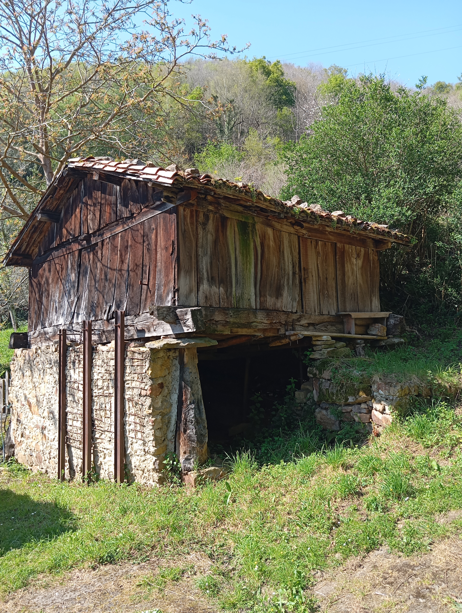 Casas o chalets-Venta-Mieres-1713521-Foto-14