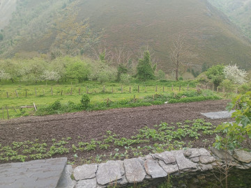 Casas o chalets-Venta-Allande-1722228-Foto-27-Carrousel