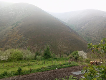 Casas o chalets-Venta-Allande-1722228-Foto-26-Carrousel