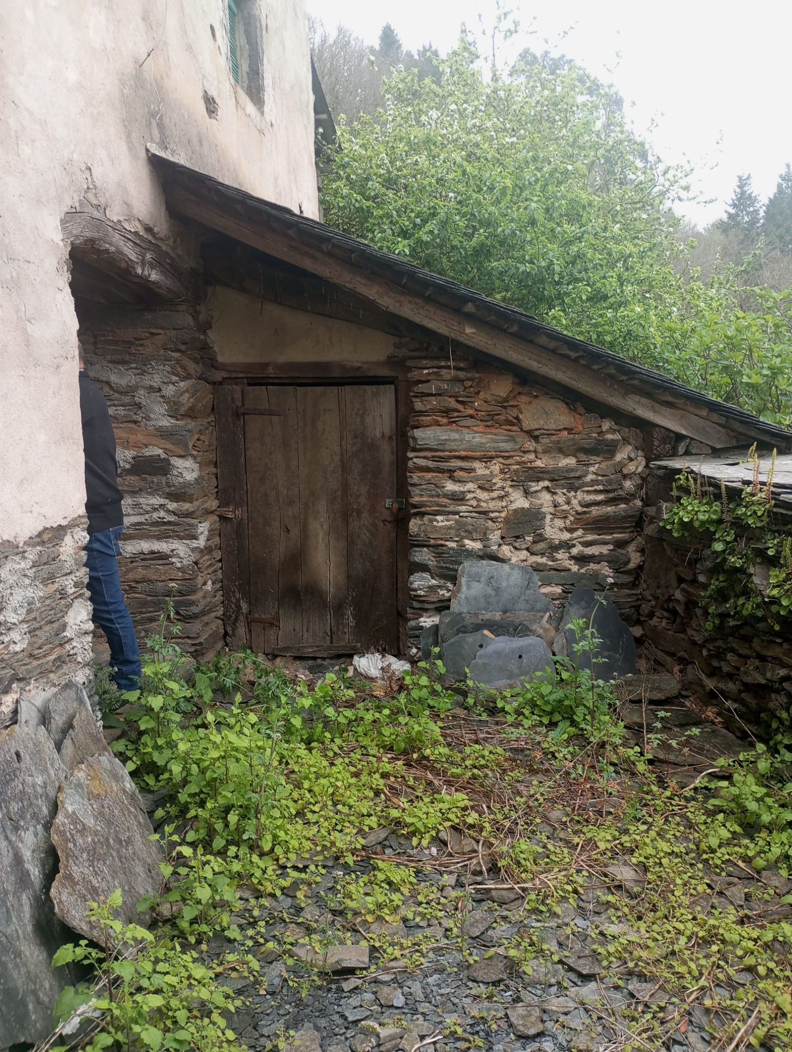 Casas o chalets-Venta-Allande-1722228-Foto-9