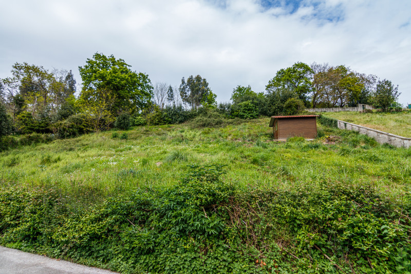 Fincas y solares-Venta-GijÃ³n-2208418-Foto-8