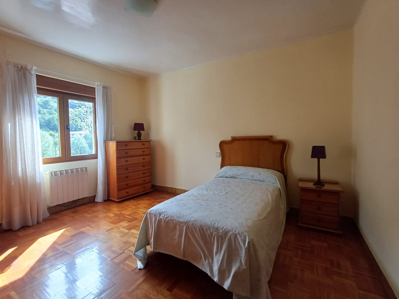 Pisos-Venta-Aller-2307896-Foto-2