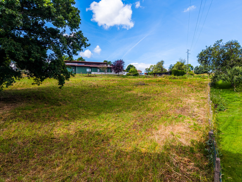 Fincas y solares-Venta-Siero-2332884-Foto-11