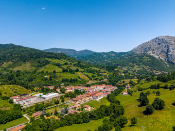 Vistas