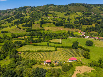 Fincas y solares-Venta-Grado-2347489