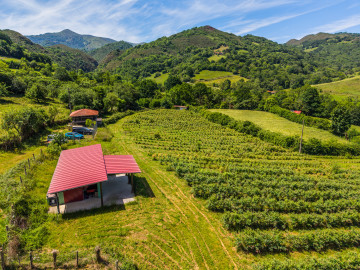 Fincas y solares-Venta-Grado-2347489-Foto-1-Carrousel