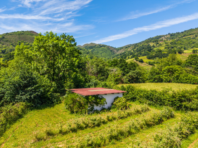 Fincas y solares-Venta-Grado-2347489-Foto-27