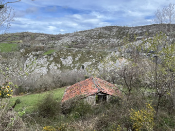 Fincas y solares-Venta-Cabrales-2352469-Foto-5-Carrousel