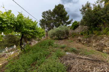 Casas o chalets-Venta-La Vall de Uixo-1730891-Foto-34-Carrousel