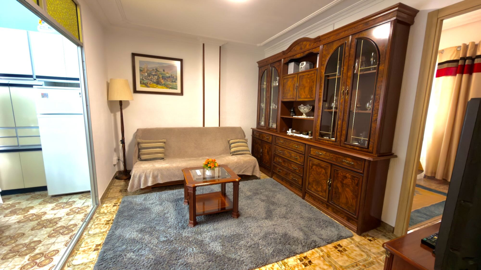 Pisos-Venta-Mieres-2334224-Foto-7