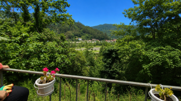 Casas o chalets-Venta-Mieres-2336066