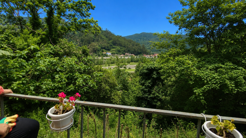 Casas o chalets-Venta-Mieres-2336066