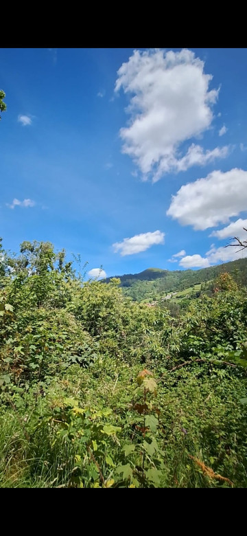 Casas o chalets-Venta-Mieres-2336066-Foto-3-Carrousel