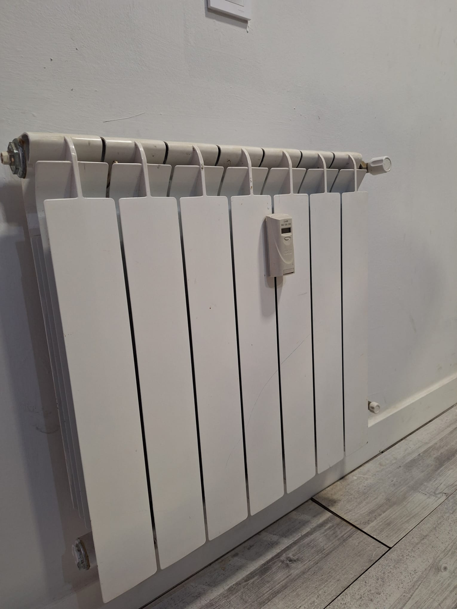 Pisos-Venta-AvilÃ©s-2347823-Foto-17