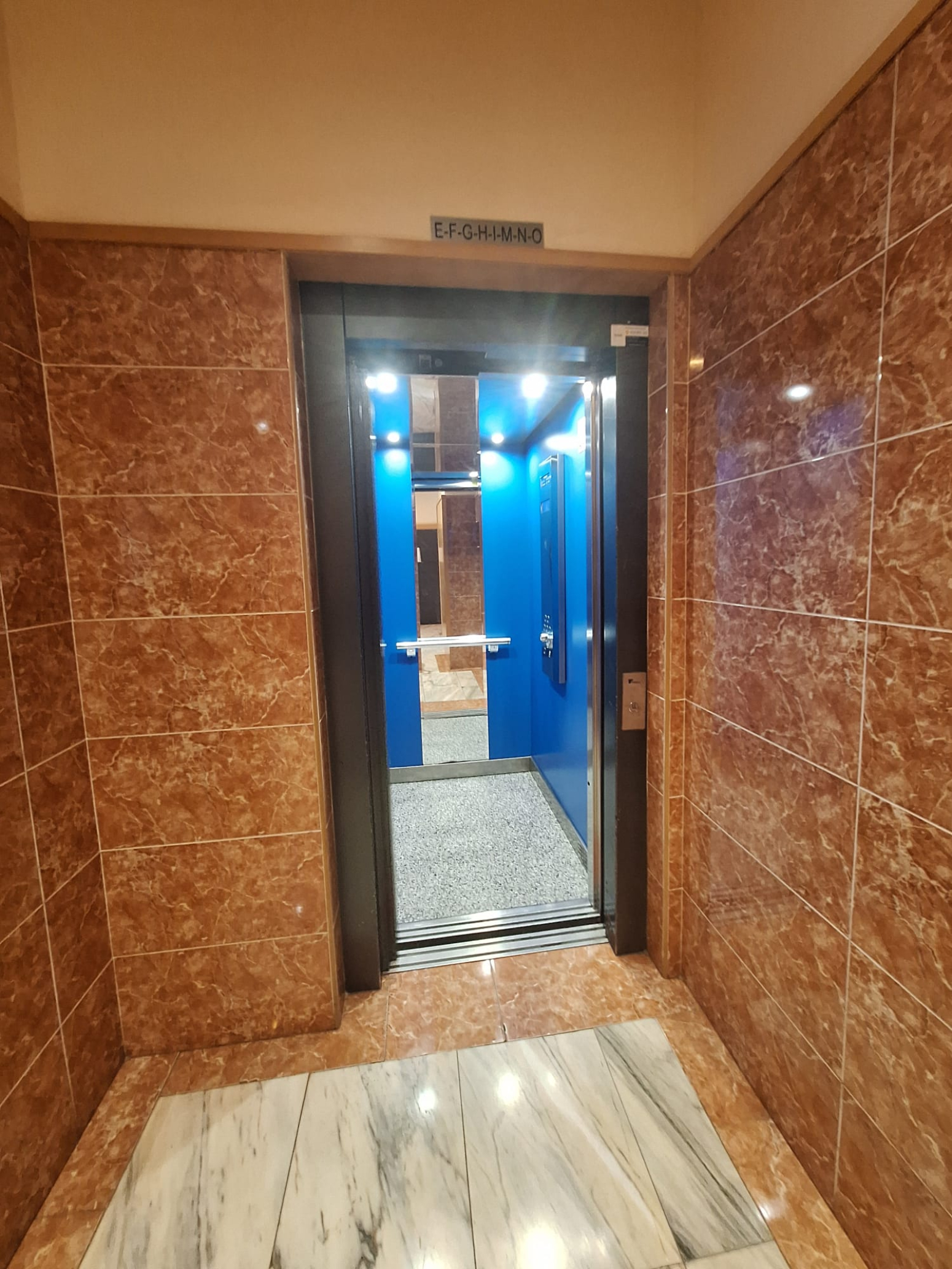 Pisos-Venta-GijÃ³n-2354861-Foto-23