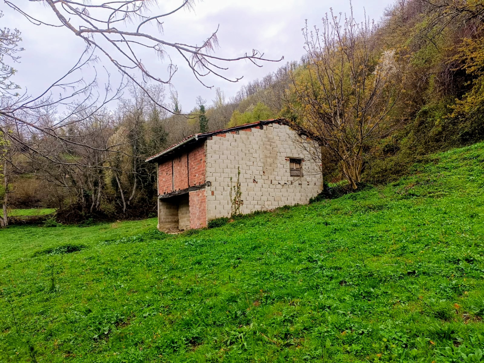 Fincas y solares-Venta-Caso-2355008-Foto-8