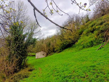 Fincas y solares-Venta-Caso-2355008-Foto-15-Carrousel