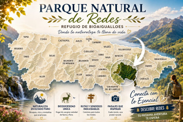 Fincas y solares-Venta-Caso-2355008-Foto-37-Carrousel