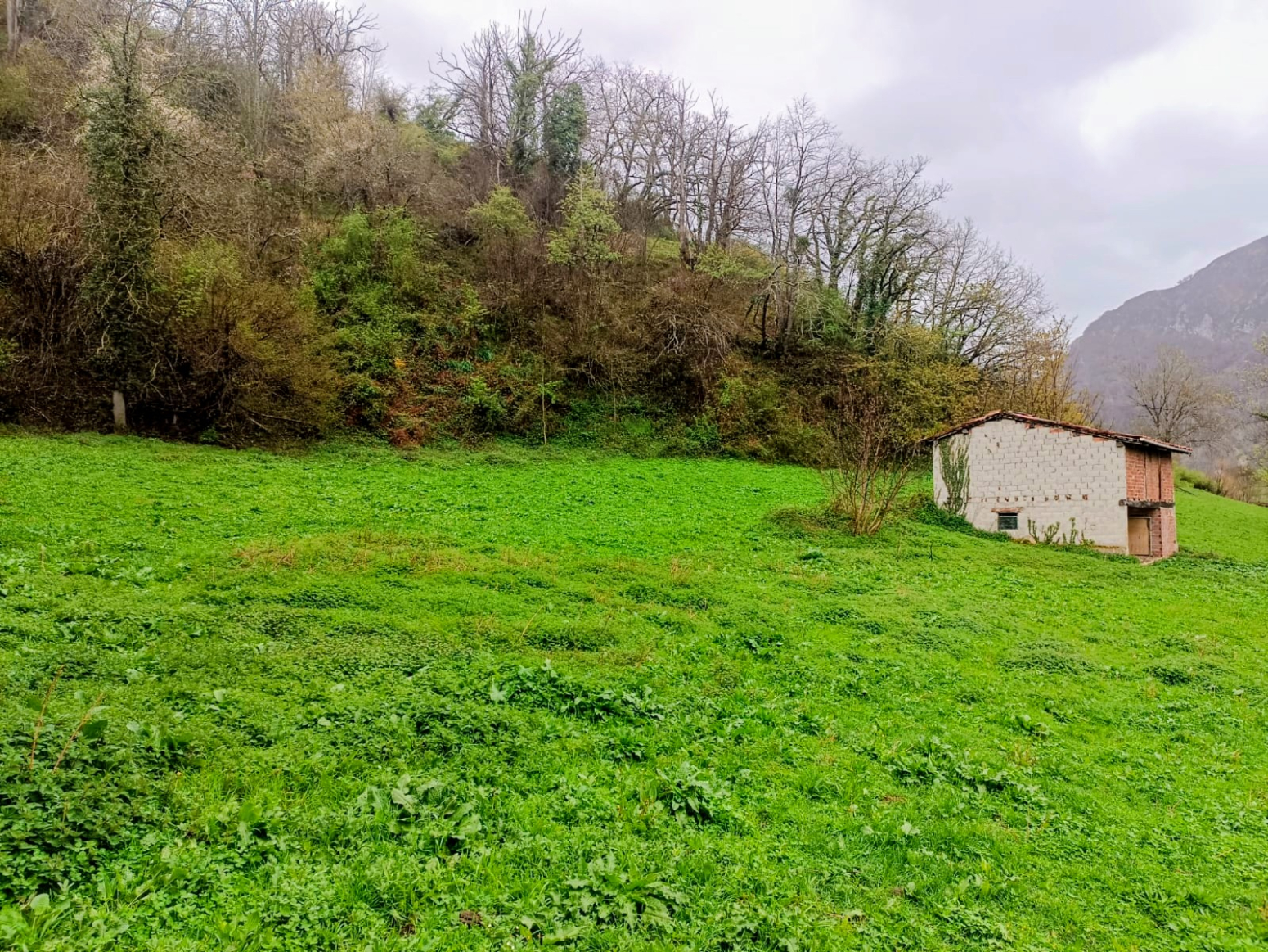 Fincas y solares-Venta-Caso-2355008-Foto-15
