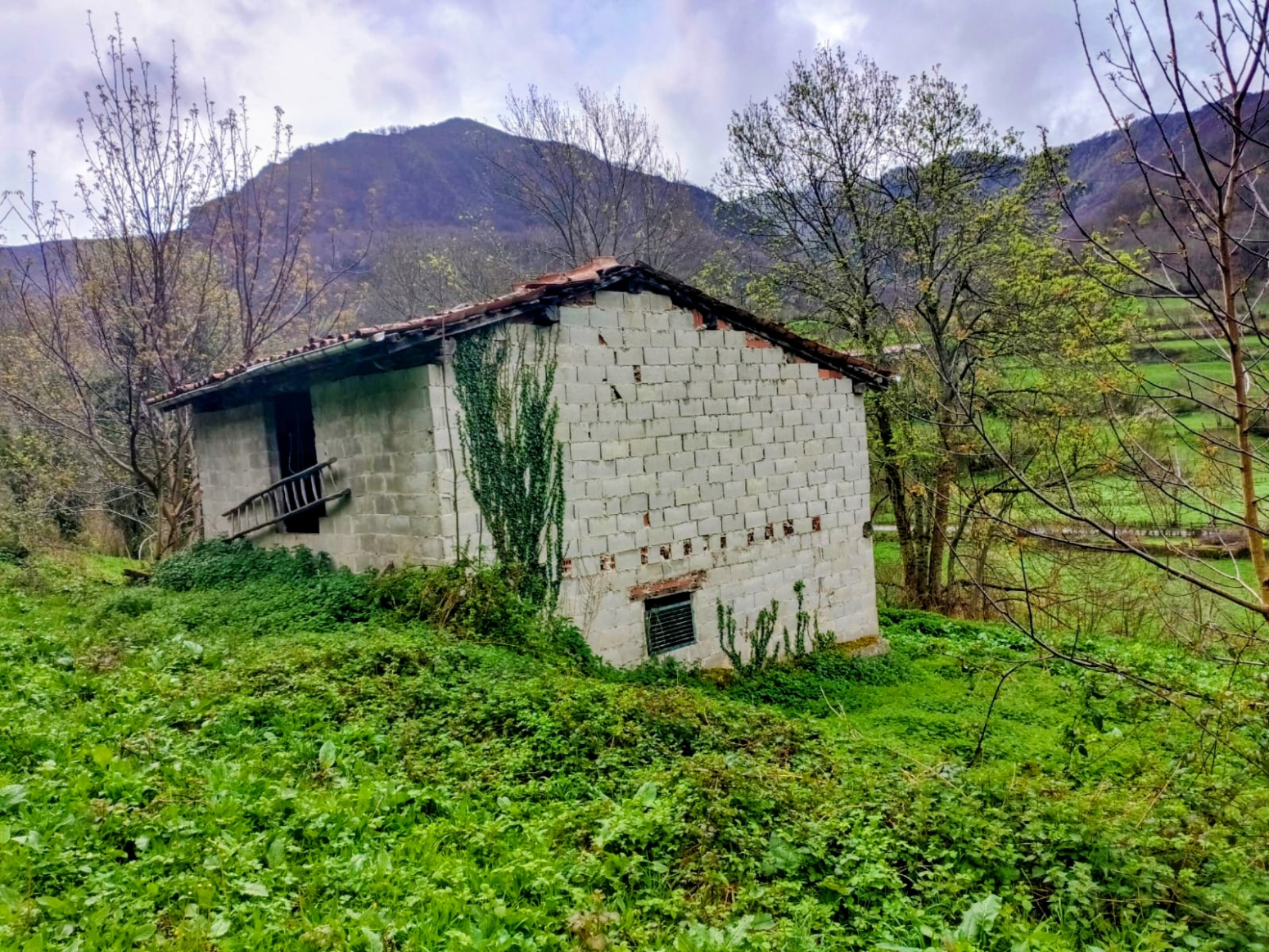 Fincas y solares-Venta-Caso-2355008-Foto-6