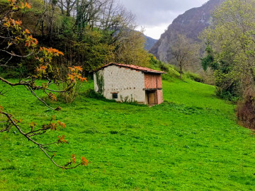 Fincas y solares-Venta-Caso-2355008-Foto-2-Carrousel