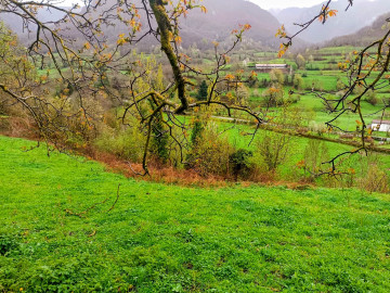 Fincas y solares-Venta-Caso-2355008-Foto-36-Carrousel