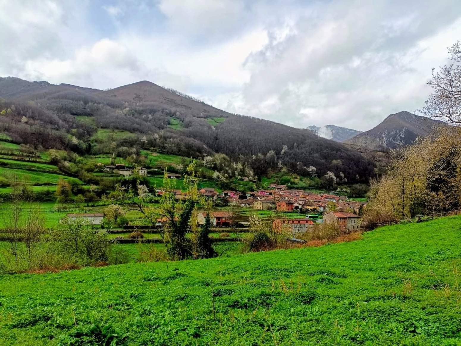 Fincas y solares-Venta-Caso-2355008-Foto-31