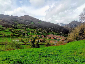 Fincas y solares-Venta-Caso-2355008-Foto-30-Carrousel