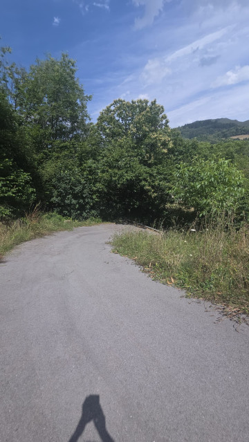Casas o chalets-Venta-Aller-2365133-Foto-29-Carrousel