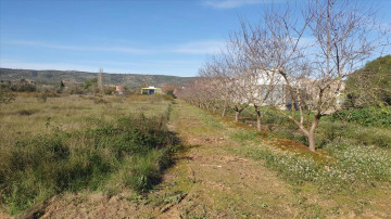 Fincas y solares-Venta-AlcalÃ  de Xivert-1454314-Foto-2-Carrousel