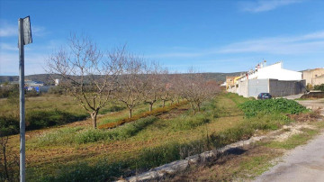 Fincas y solares-Venta-AlcalÃ  de Xivert-1454314-Foto-3-Carrousel