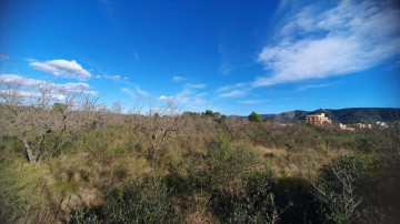 Fincas y solares-Venta-Alcalà de Xivert-1454320