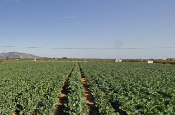 Fincas y solares-Venta-Torreblanca-1454602