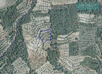 Fincas y solares-Venta-Segorbe-1722641-Foto-1-Carrousel