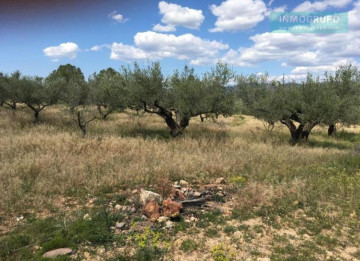 Fincas y solares-Venta-Segorbe-1722641-Foto-2-Carrousel