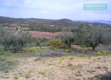 Fincas y solares-Venta-Segorbe-1722641-Foto-3-Carrousel