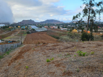 Fincas y solares-Venta-Tacoronte-1444168-Foto-7-Carrousel