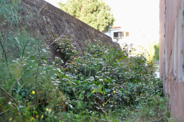 Fincas y solares-Venta-San CristÃ³bal de La Laguna-1707269-Foto-16-Carrousel