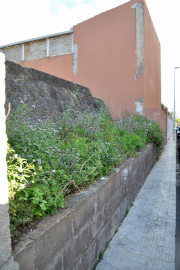 Fincas y solares-Venta-San CristÃ³bal de La Laguna-1707269-Foto-18-Carrousel