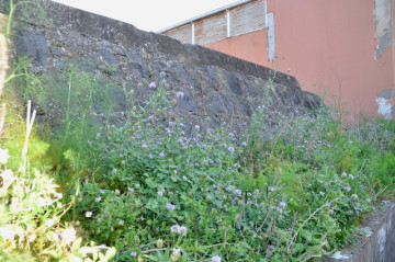 Fincas y solares-Venta-San CristÃ³bal de La Laguna-1707269-Foto-17-Carrousel