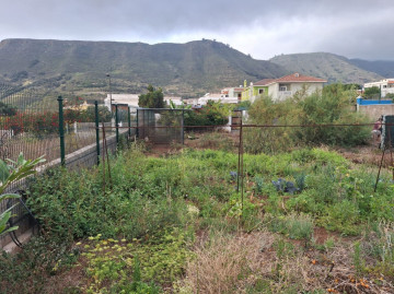 Fincas y solares-Venta-Tegueste-2364890-Foto-8-Carrousel