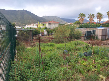 Fincas y solares-Venta-Tegueste-2364890-Foto-7-Carrousel