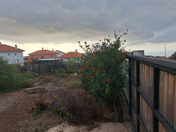 Fincas y solares-Venta-Tegueste-2364890-Foto-4-Carrousel
