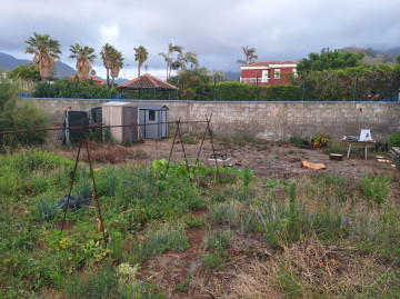Fincas y solares-Venta-Tegueste-2364890-Foto-9-Carrousel