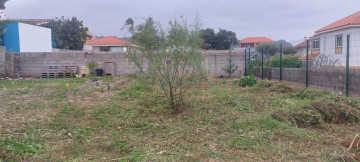 Fincas y solares-Venta-Tegueste-2364890