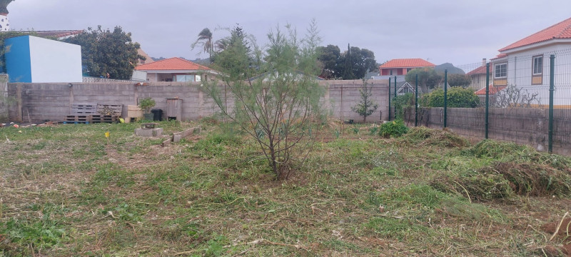 Fincas y solares-Venta-Tegueste-2364890