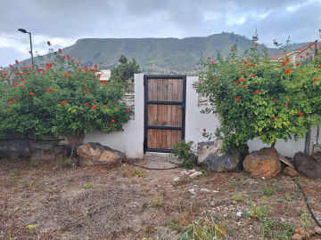 Fincas y solares-Venta-Tegueste-2364890-Foto-3-Carrousel