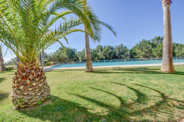 Pisos-Alquiler-Santa Eulalia del RÃ­o-1684570-Foto-52-Carrousel
